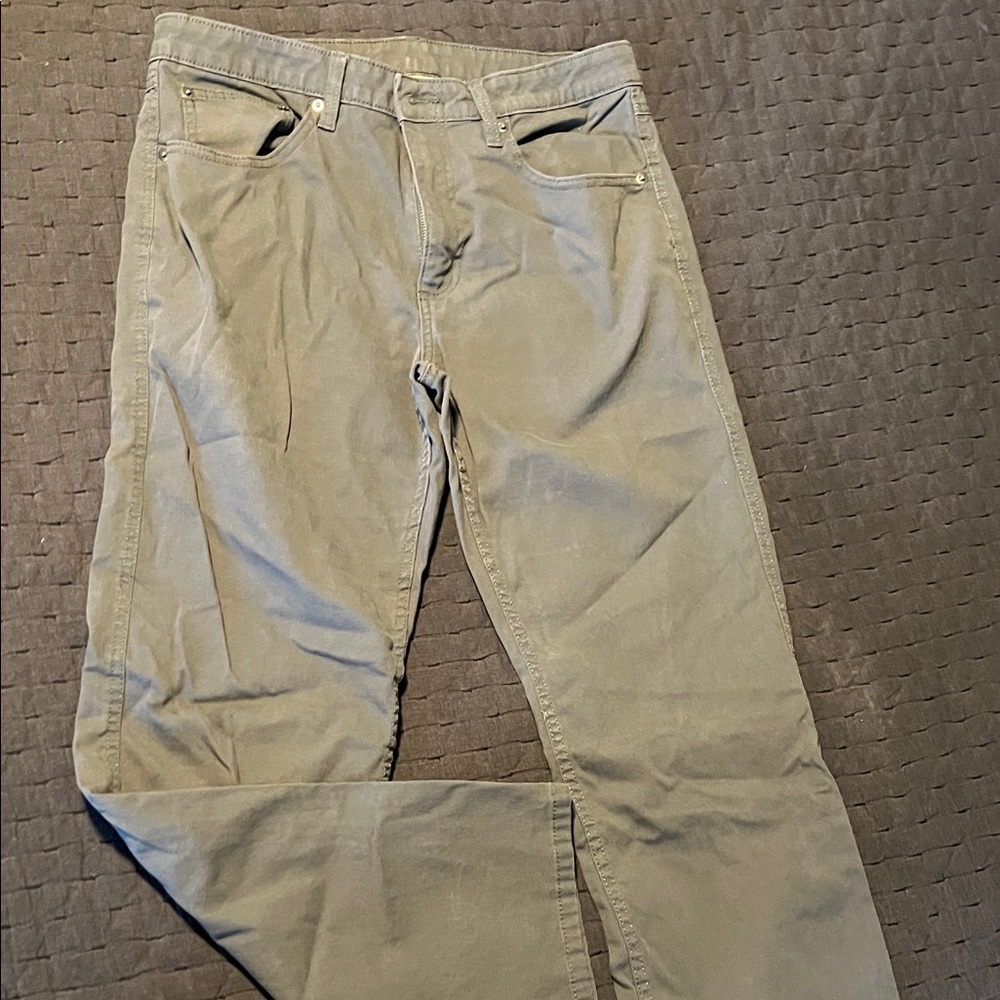 Magellan Outdoors Gray Stain Release Pants